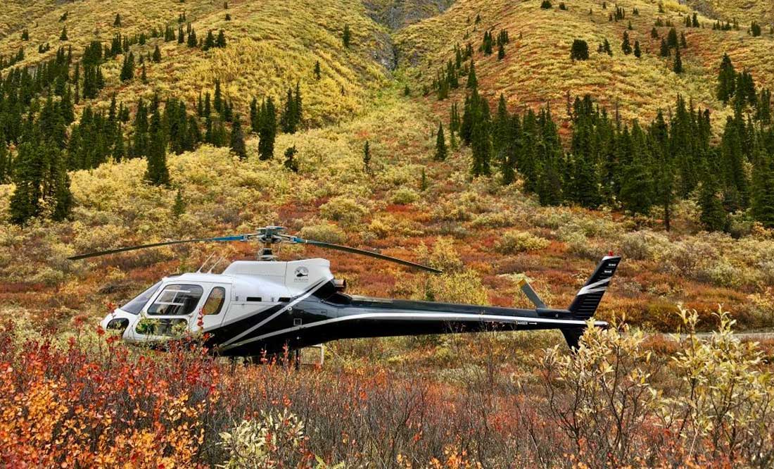 fall_colours